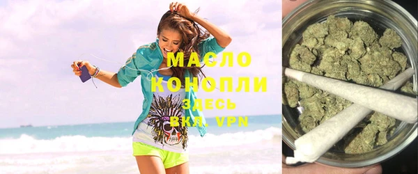 индика Надым