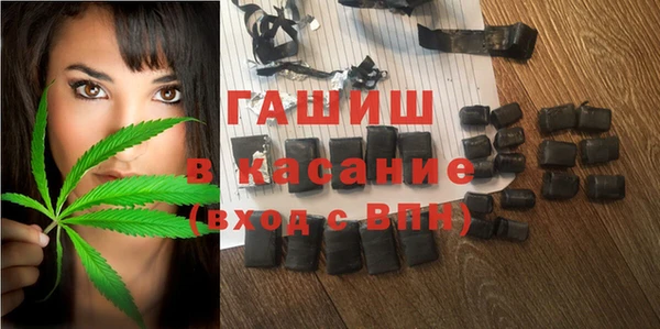 индика Надым