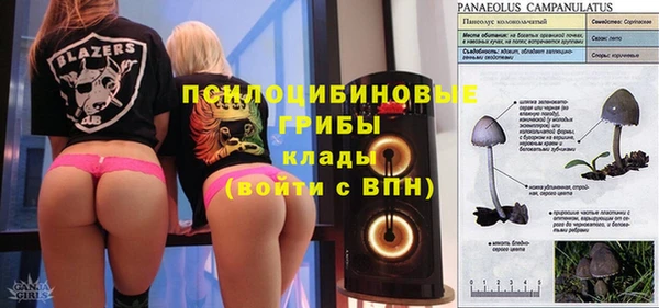 индика Надым