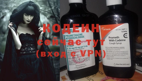 индика Надым