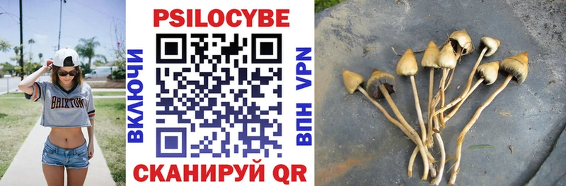 Купить где  Белгород  Галлюциногенные грибы Magic Shrooms 