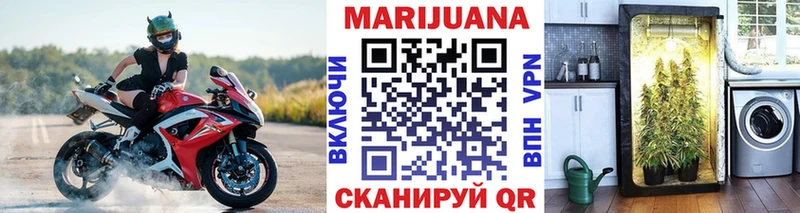 Купить где  Белгород  Шишки марихуана марихуана 